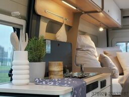 LMC Innovan Pure 540 Verfügbar Dezember 2026