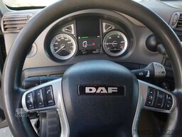 DAF CF 410 DAF CF 410 Black Edition Dhollandia klep...