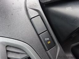 FORD Transit Custom Kasten 310 L1H1 Ablastung 2,8to