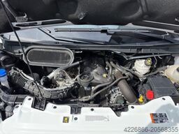 FORD TRANSIT 2.0 ECOBLUE 350 L4 TREND