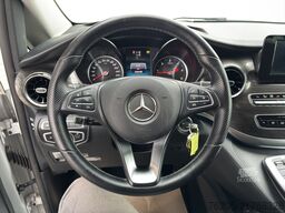 Mercedes-Benz Marco Polo 300 d HORIZON AMG-Line AHK AUT Kam.