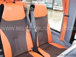 Iveco Evadys 13m / Rear door / 3-Point seat belts / N...