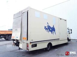 Mercedes Atego 815