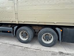 MAN TGS 26.480 BB 6x4 PK 25001 EL am Heck