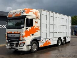 DAF XF460FT 6x2 BL EU6 3.Stock I.R.M.A/Ladelift/ACC