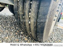 FLIEGL ZHKA 350 Alu *30m³/1.Liftachse/Cramaro/Alcoa