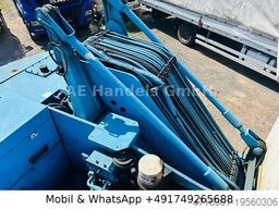 TEREX MHL 331 Umschlagbagger