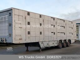 PEZZIOLI SBA6U 3Stock Vollausstattung | Hubdach