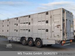 PEZZIOLI SBA6U 3Stock  Vollausstattung | Hubdach