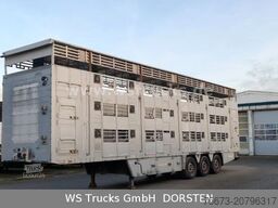 PEZZIOLI SBA6U 3Stock  Vollausstattung | Hubdach