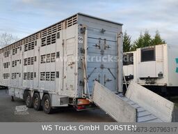 PEZZIOLI SBA6U 3Stock  Vollausstattung | Hubdach