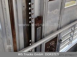 PEZZIOLI SBA6U 3Stock  Vollausstattung | Hubdach