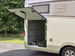 CARTHAGO Chic S-Plus 50