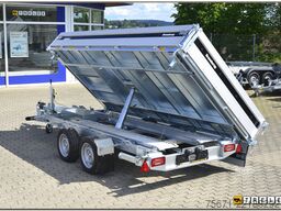 Brenderup TT 5375ATB 3500 kg Rampen + Stützen
