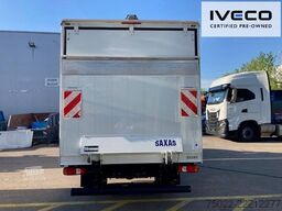 IVECO 35C16 Koffer/LBW