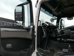 MAN TGS 35.500 Kipper Trösch Thermo-Mulde 10x4
