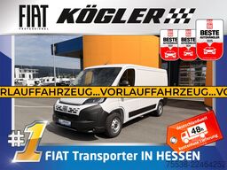 Kastenwagen Fiat Ducato