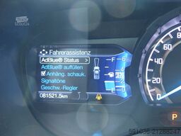 ford Ranger 2.0 TDCI 4x4 Limited DOKA AHK/HARDTOP