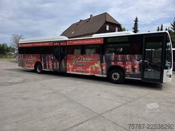 MERCEDES-BENZ Citaro O530 LE, Gurten,  Armlehnen, Gardinen