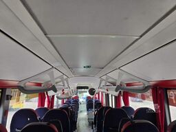 MERCEDES-BENZ Citaro O530 LE, Gurten,  Armlehnen, Gardinen