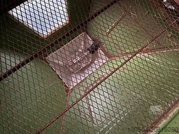 Amazone ZA-M MAXI S 1500