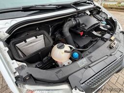 MERCEDES-BENZ Sprinter 313 BlueTEC 9Sitze+Rollstuhllift Klima