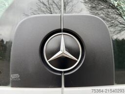MERCEDES-BENZ Sprinter 313 BlueTEC 9Sitze+Rollstuhllift Klima