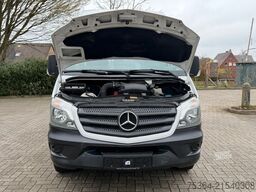 MERCEDES-BENZ Sprinter 313 BlueTEC 9Sitze+Rollstuhllift Klima