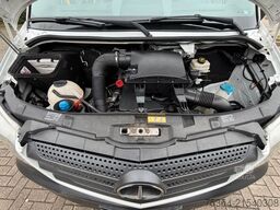 MERCEDES-BENZ Sprinter 313 BlueTEC 9Sitze+Rollstuhllift Klima