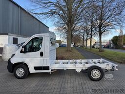 FIAT Ducato - Fahrgestell - 94 TKm - Klima