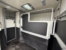 Renault Master PAARDENWAGEN | HORSETRUCK | STX | STALLI...