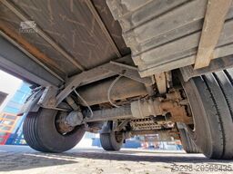 FLIEGL SZS320 / Hubdach / 6.500 kg / Mega