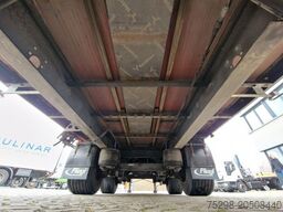 FLIEGL SZS320 / Hubdach / 6.500 kg  / Mega