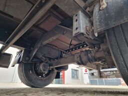 FLIEGL SZS320 / Hubdach / 6.500 kg / Mega