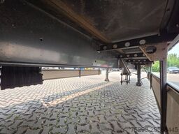 FLIEGL SZS320 / Hubdach / 6.500 kg / Mega