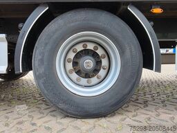 FLIEGL SZS320 / Hubdach / 6.500 kg / Mega