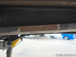 FLIEGL SZS320 / Hubdach / 6.500 kg / Mega