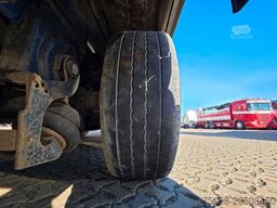 FLIEGL SDS01 / Coilmulde / EDSCHA