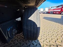 FLIEGL SDS01 / Coilmulde / EDSCHA