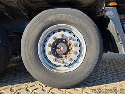 FLIEGL SDS01 / Coilmulde / EDSCHA