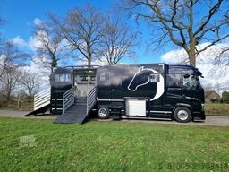 Renault T Occasion paardenvrachtwagen 5 paarden, 10.144...