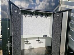 Renault T Occasion paardenvrachtwagen 5 paarden, 10.144...