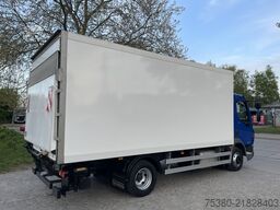 daf LF 210 FA KÜHLKOFFER KLIMA*LBW*