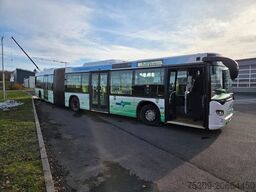 SCANIA Citywide LFA 50 Sitze Euro 6 Automatik 5 Stück