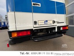 MERCEDES-BENZ Vario 814D Diff Klima Standh120km/h saniert