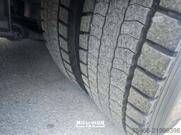 Iveco STRALIS 260S36 CELLA 8,60 SPONDA EURO 6