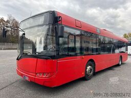 Solaris Urbino