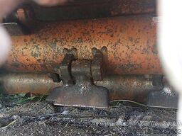 Berti TRINCIARGINI WING 250