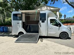 Renault Master 1-2 Pferde Hengsttrennung
