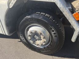  FMX-500 10x4R Rückwärtskipper / Swiss-Vehicle